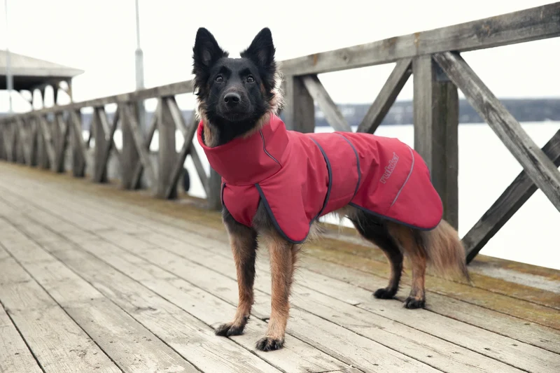 Rukka - Windy Thermal Jacket - Thermo Hundejacke