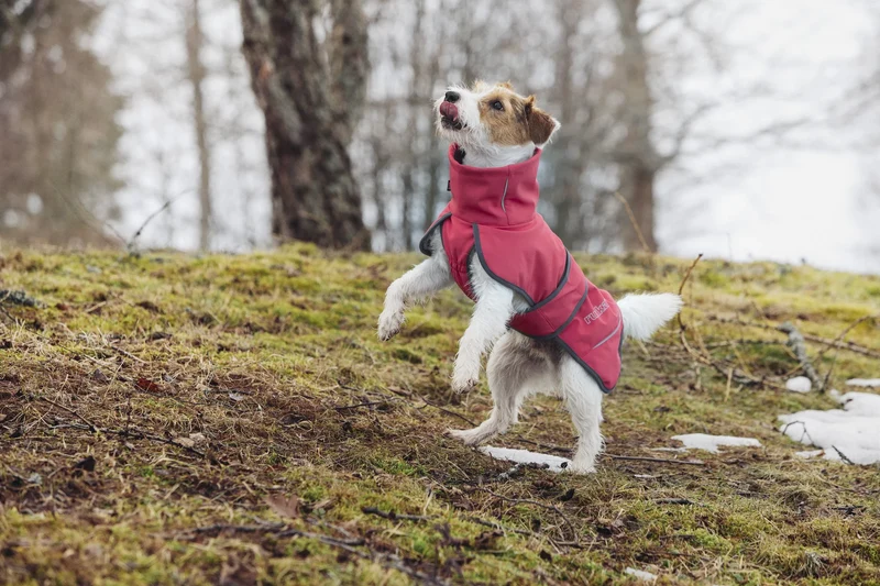 Rukka - Windy Thermal Jacket - Thermo Hundejacke