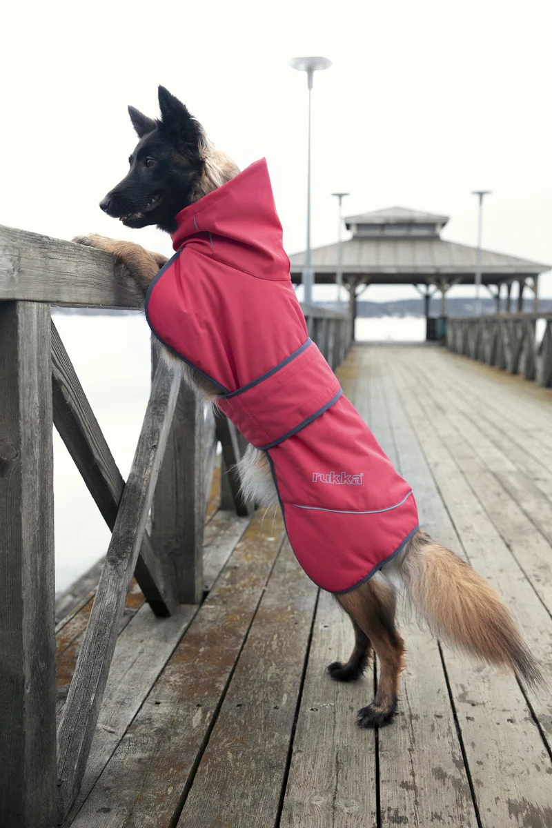 Rukka - Windy Thermal Jacket - Thermo Hundejacke