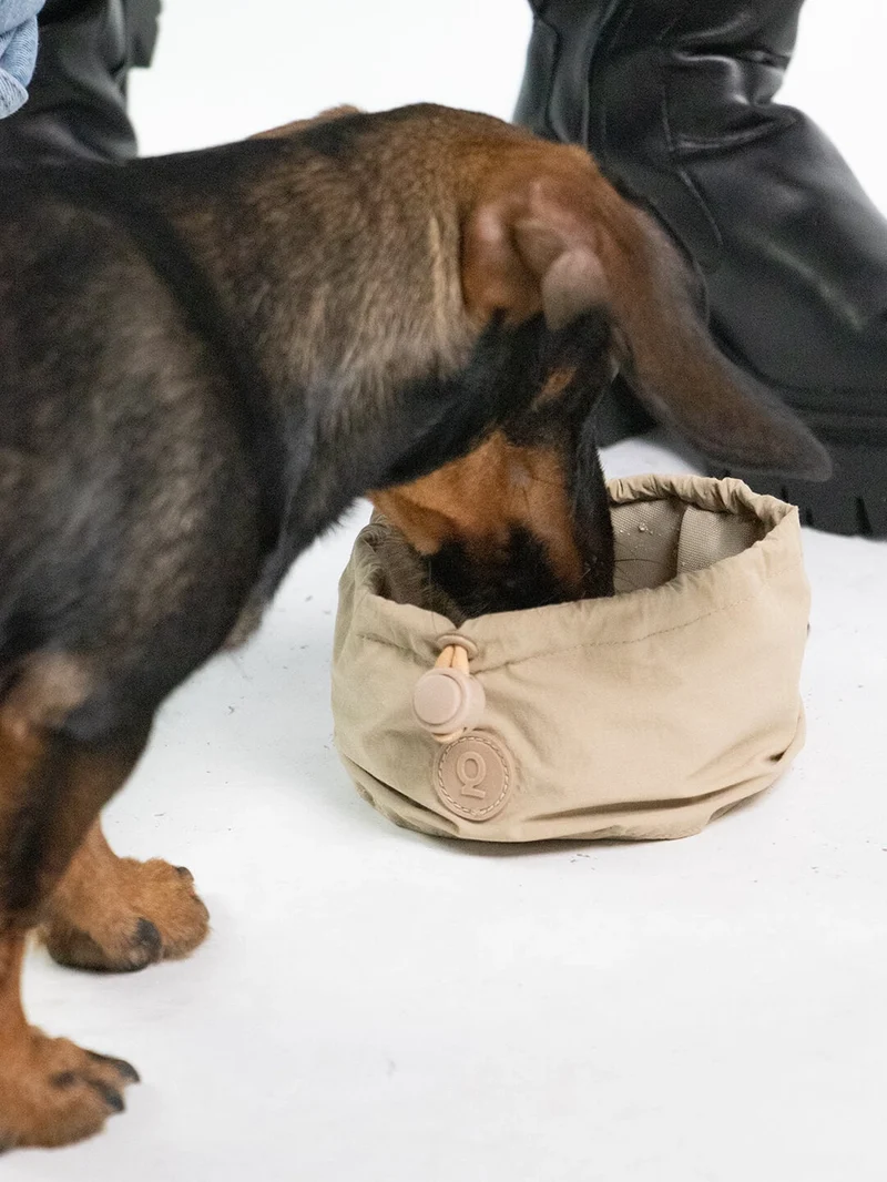 Tragbarer Hundenapf | Pocket Bowl™