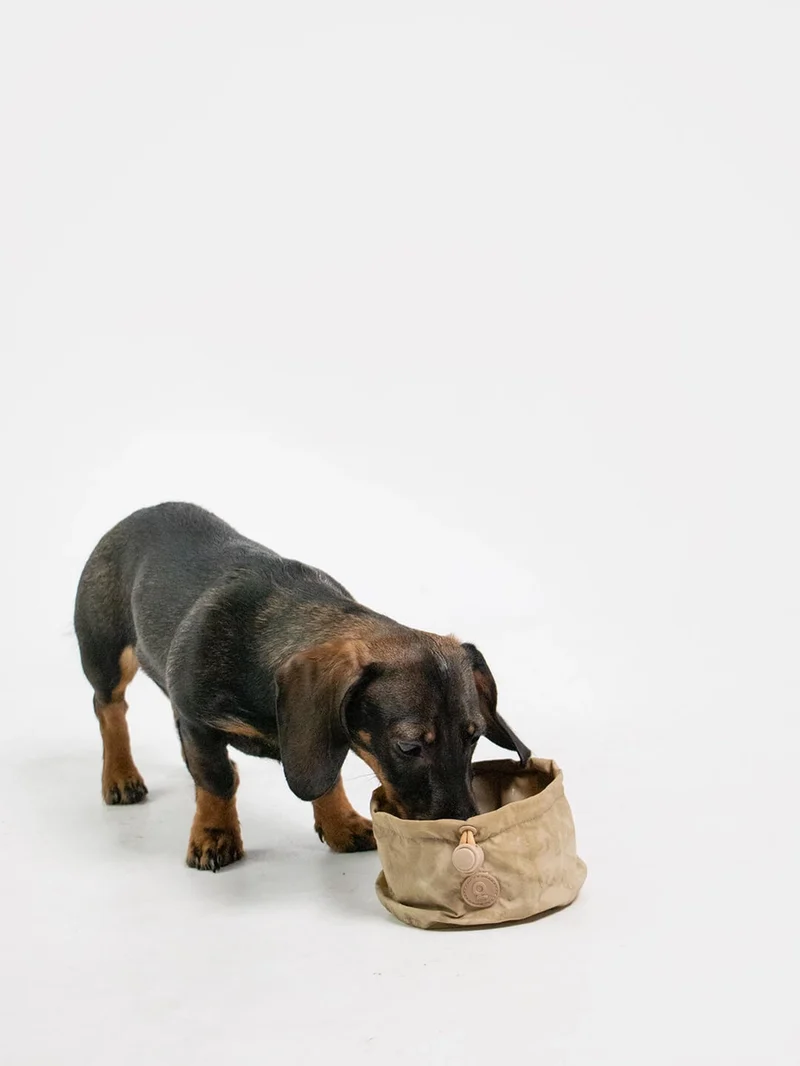 Tragbarer Hundenapf | Pocket Bowl™