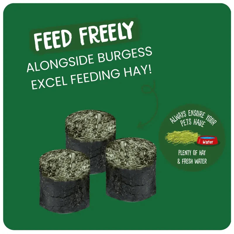 Burgess Excel Meadow Munchies Small Pet Treats 1Kg
