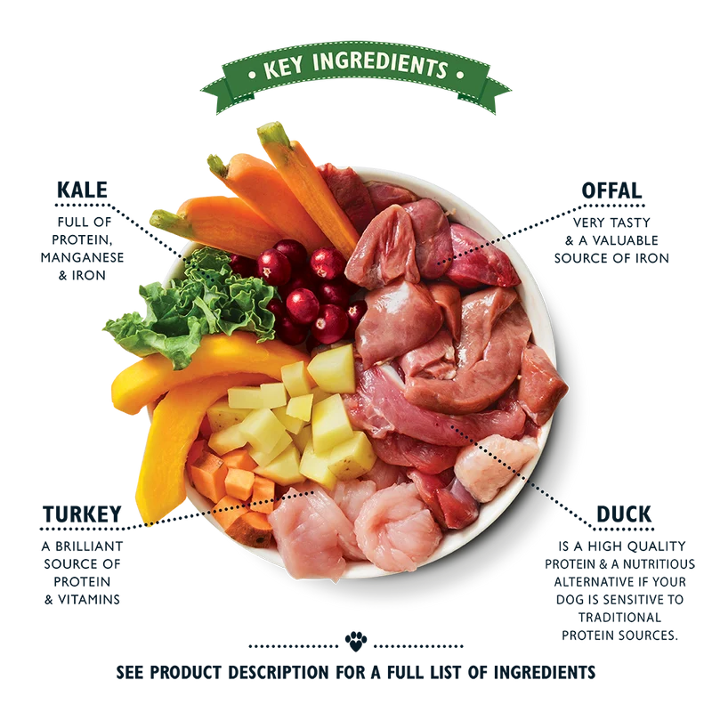 Lily's Kitchen Turkey & Duck Puppy Recipe Canned Wet Dog Food