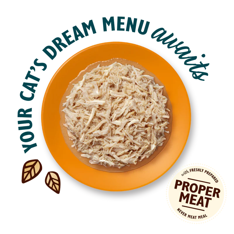 Lily's Kitchen Shredded Fillets In Broth Multipack Wet Cat Food For Sterilised Cat 8x70G