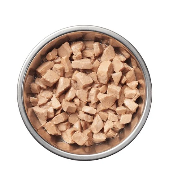 Instinct Healthy Cravings Salmon Wet Cat Food