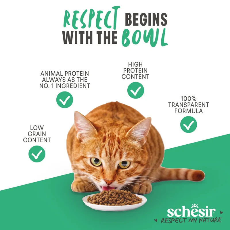 Schesir Monoprotein Formula Adult Dry Cat Food Maintenance With Chicken