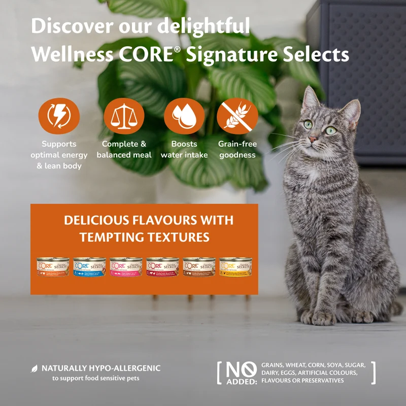 Wellness Core Signature Selects Shredded Chicken with Chicken Liver Wet Cat Food