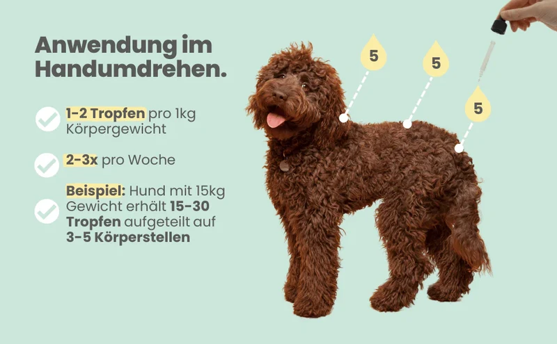 Wasserfestes Zpot-on für Hunde gegen Zecken, Flöhe, Milben & Mücken