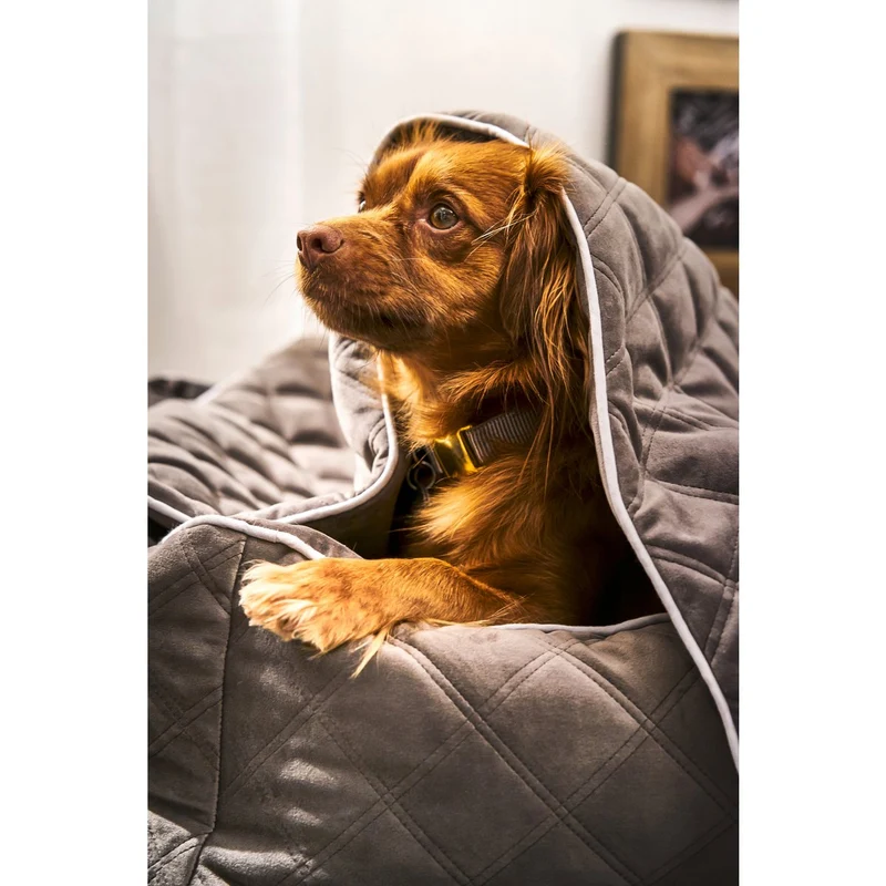 Laboni CLASSIC Hundebett - OXFORD STONE