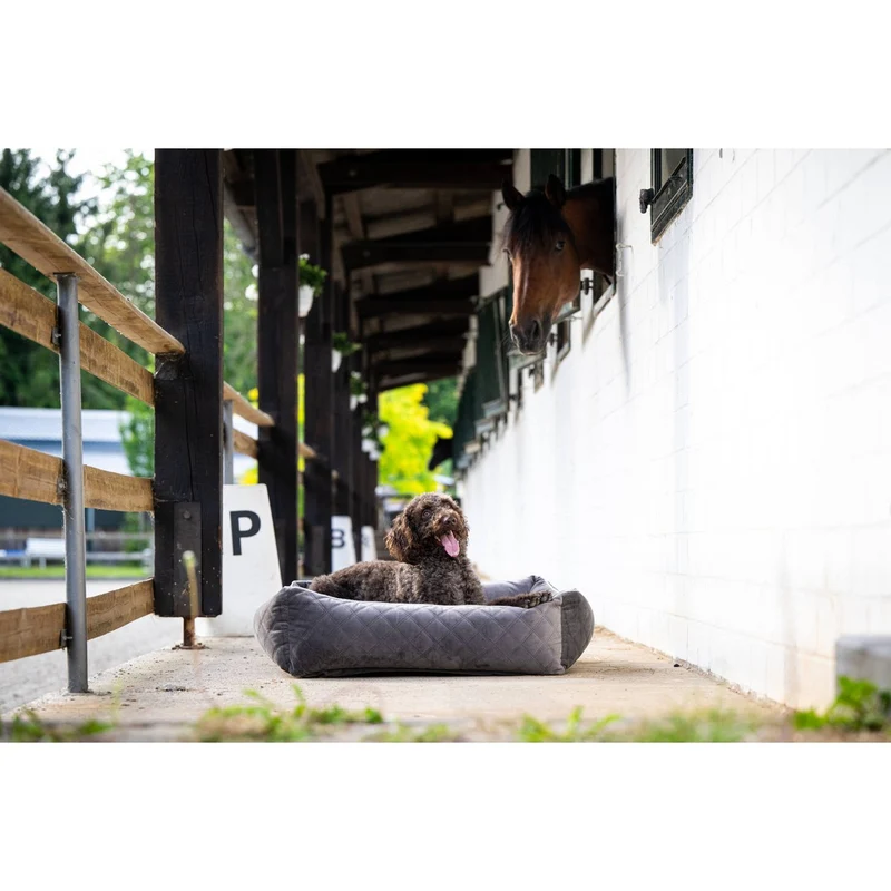 Laboni CLASSIC Hundebett - OXFORD STONE