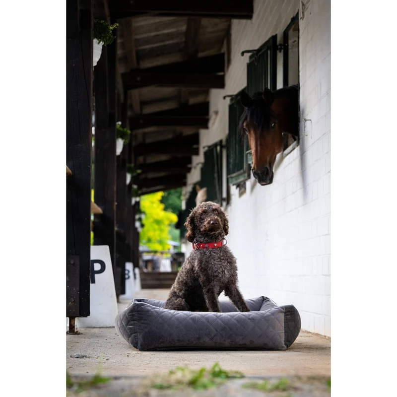 Laboni CLASSIC Hundebett - OXFORD STONE