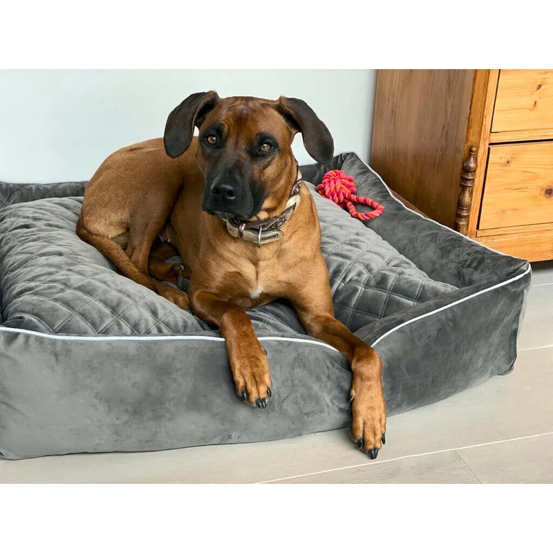 Laboni CLASSIC Hundebett - OXFORD STONE