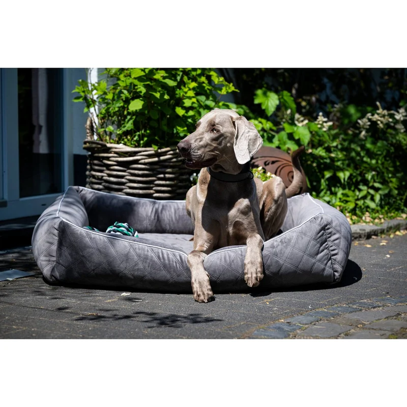 Laboni CLASSIC Hundebett - OXFORD STONE