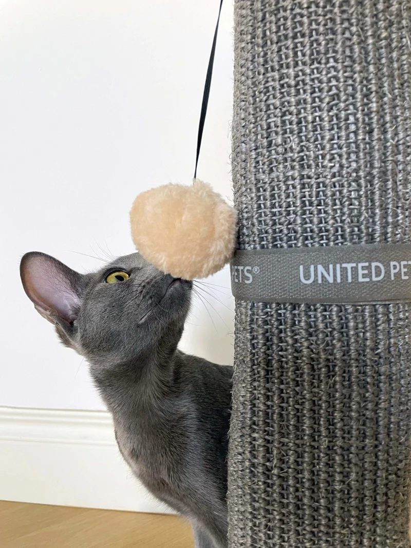 Umschließbarer Tischkratzer mit Klettband