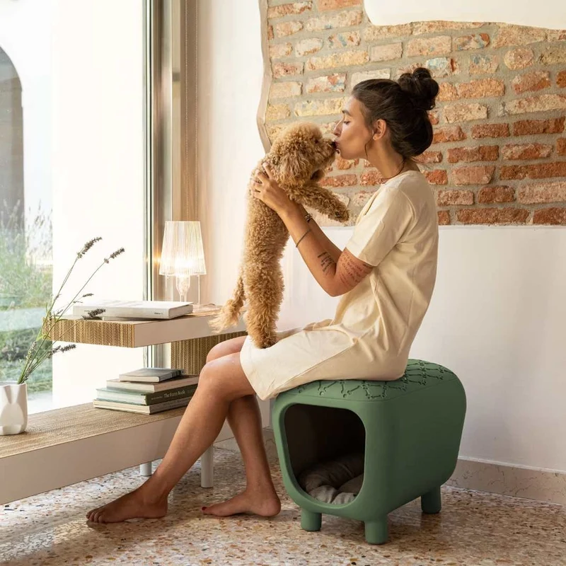 Designerbank und Katzenhütte & Hundehütte mit zweifarbigem Innenkissen - Grün