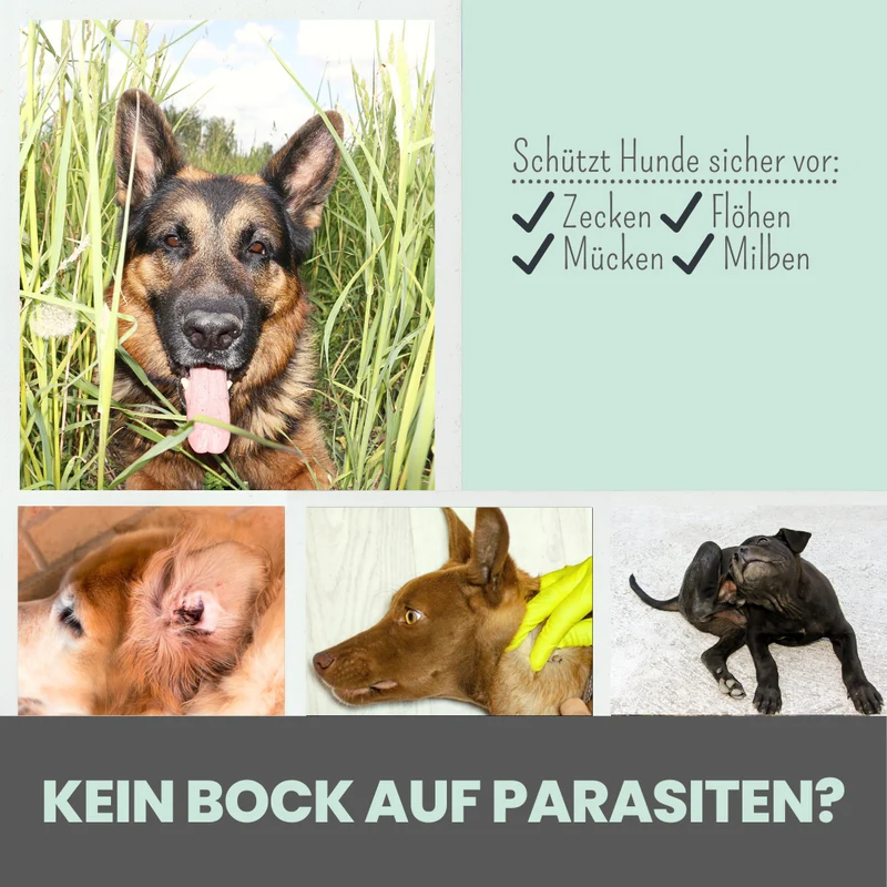 Zpot-on für Hunde gegen Zecken, Flöhe, Milben & Mücken