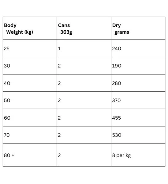 Hill's Science Plan Large Breed Adult Dog Food with Lamb & Rice 14KG