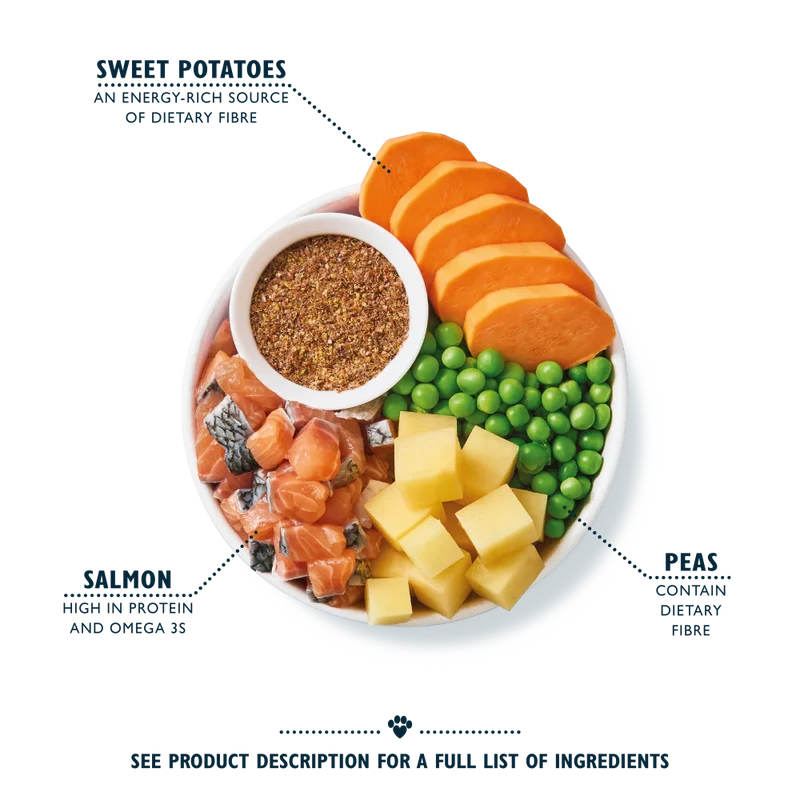 Lily's Kitchen Salmon Supper Adult Dry Dog Food