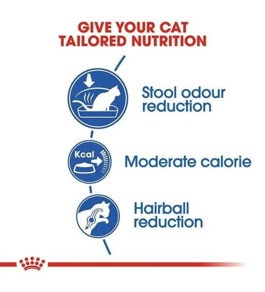 Royal Canin Home Life Indoor 27 Adult Dry Cat Food