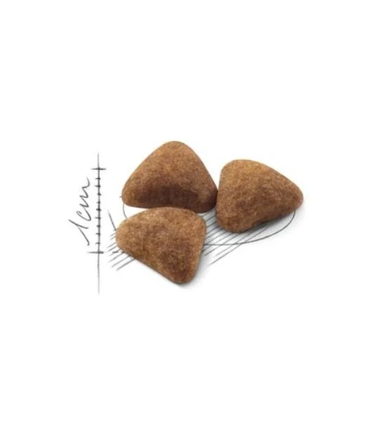 Royal Canin Home Life Indoor 27 Adult Dry Cat Food