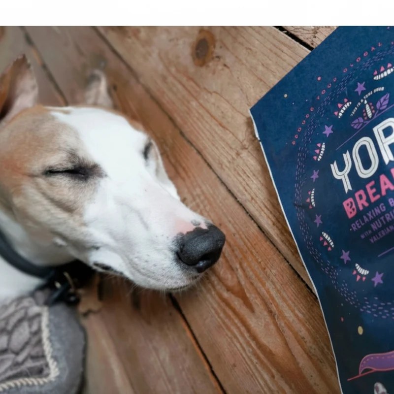 Yora Pet Foods Dreamers Calming Dog Treats With Relaxing Herbs 100G