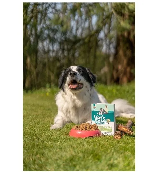 Vet's Kitchen Grain Free Lamb with Sweet Potato Wet Dog Food