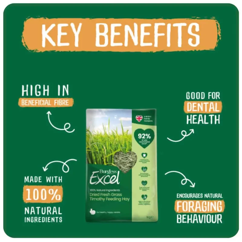 Burgess Excel Dried Fresh Grass Feeding Hay For Small Pets 1KG