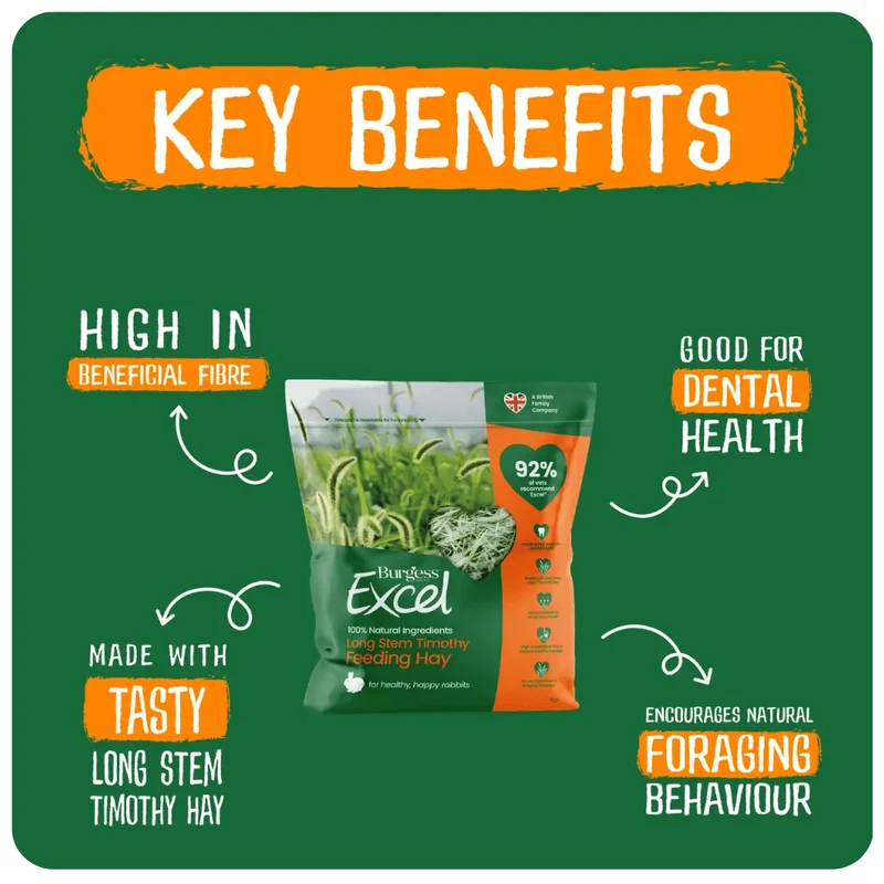 Burgess Excel Long Stem Feeding Hay For Small Pets 1KG