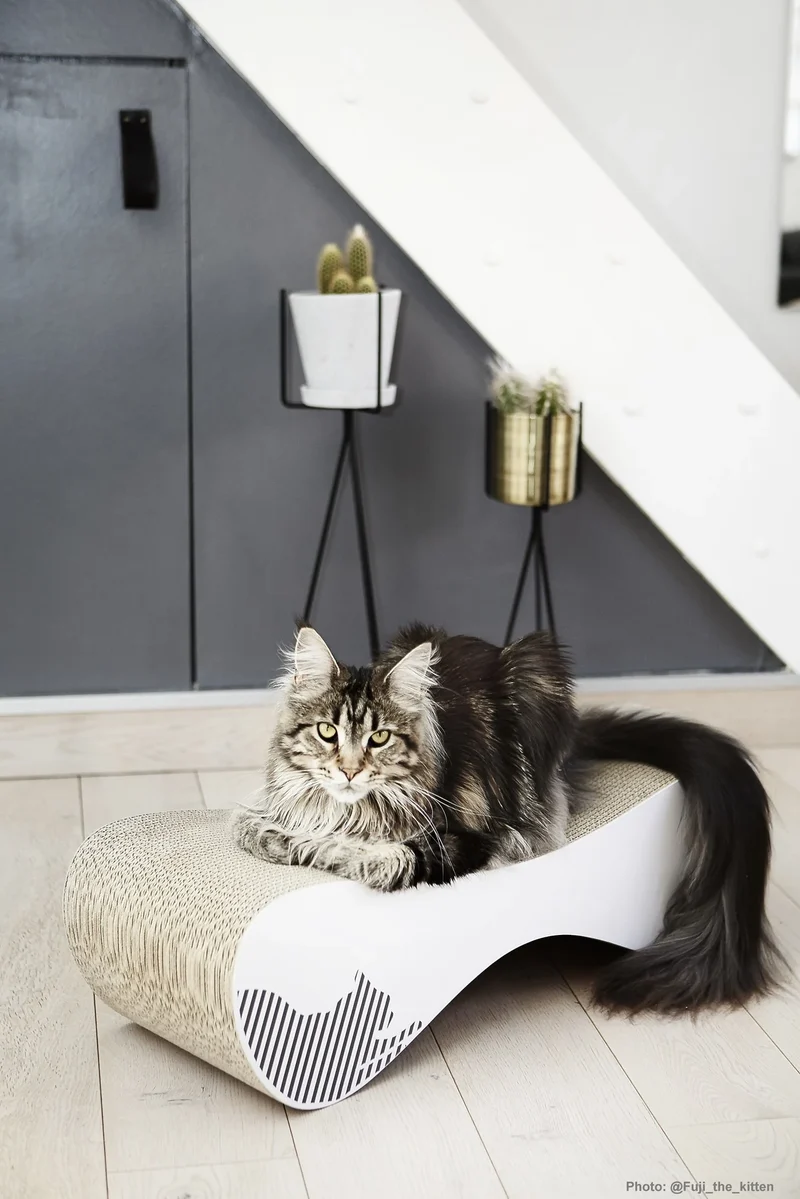 myKotty LUI Kratzliege aus Wellpappe für Katzen