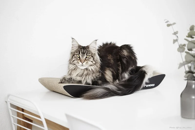 myKotty TOBI Kratzliege aus Wellpappe für Katzen
