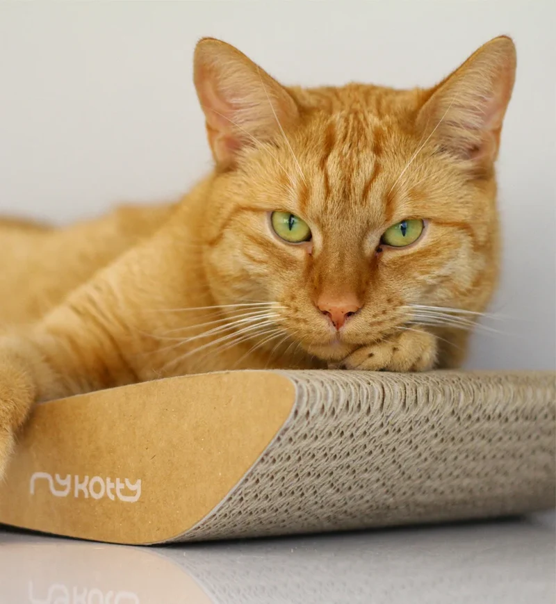 myKotty TOBI Kratzliege aus Wellpappe für Katzen