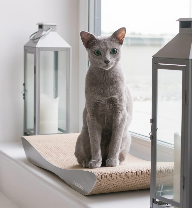 myKotty TOBI Kratzliege aus Wellpappe für Katzen