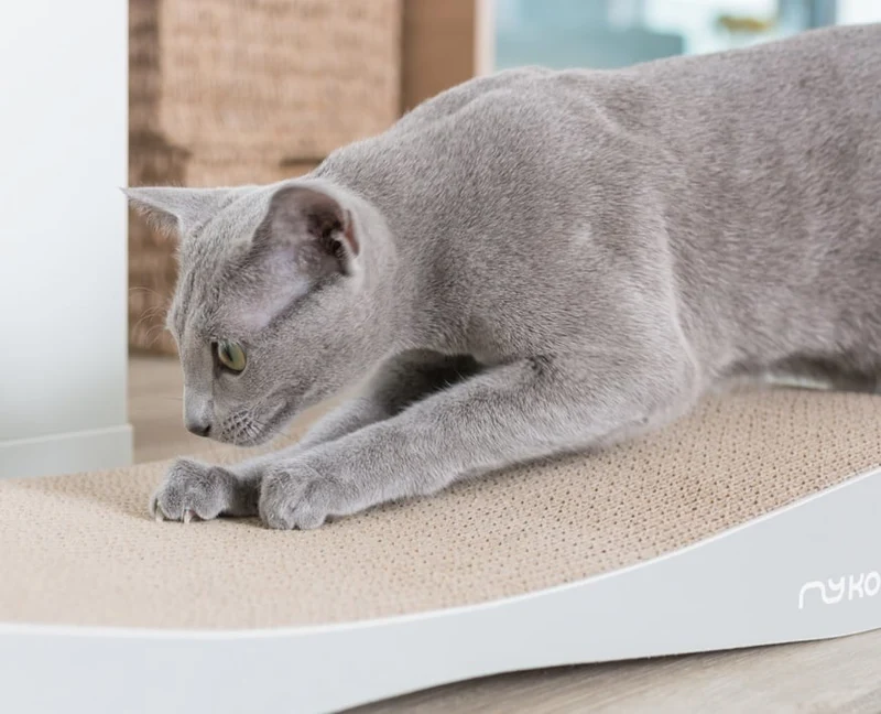 myKotty TOBI Kratzliege aus Wellpappe für Katzen