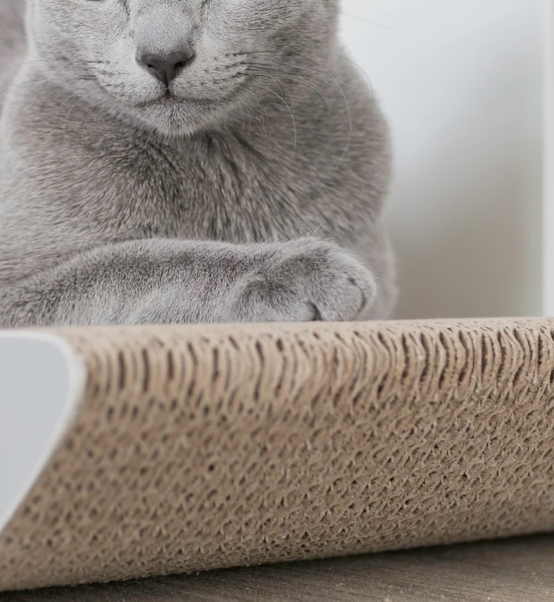 myKotty TOBI Kratzliege aus Wellpappe für Katzen