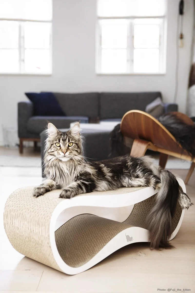myKotty LUI Design-Kratzliege aus Wellpappe für Katzen