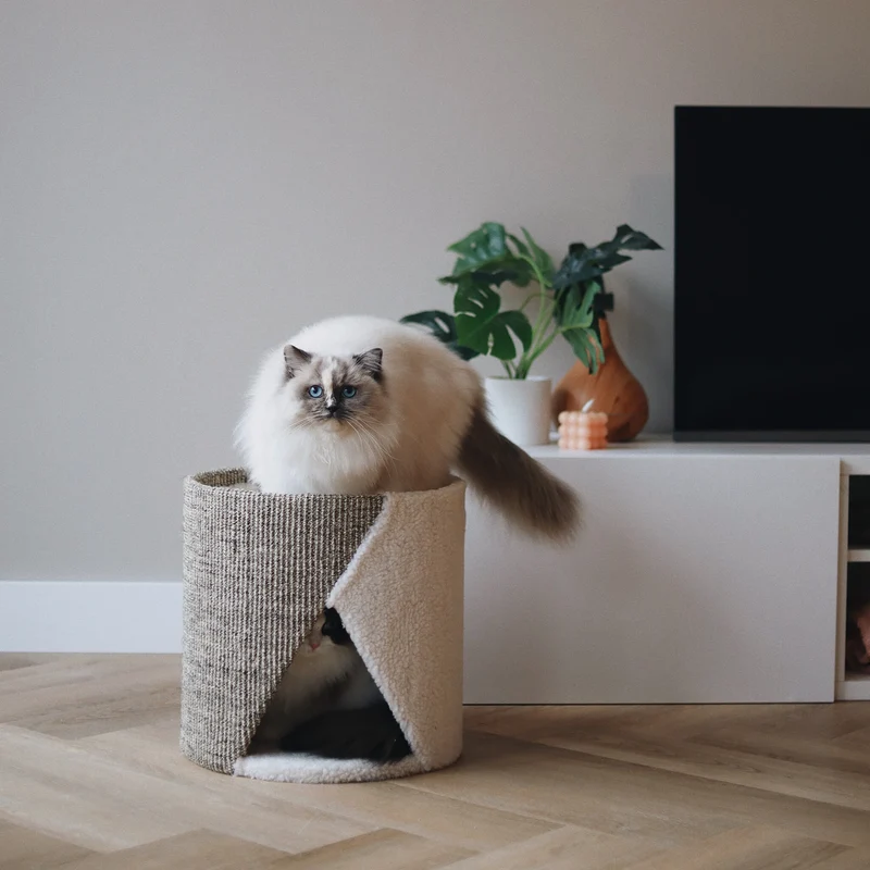 District 70 SISAL Kratztonne mit Teddystoff & Sisal für Katzen