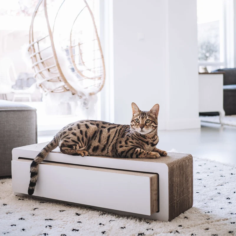 District 70 STRETCH Kratzmöbel aus Wellpappe für Katzen