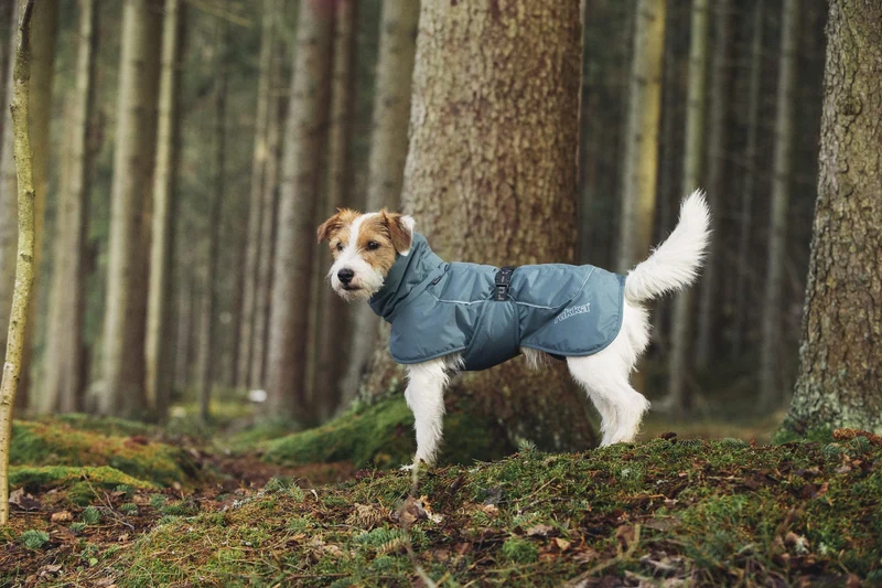 Rukka Stormy Coat Hundemantel – wasserdicht & warm gefüttert