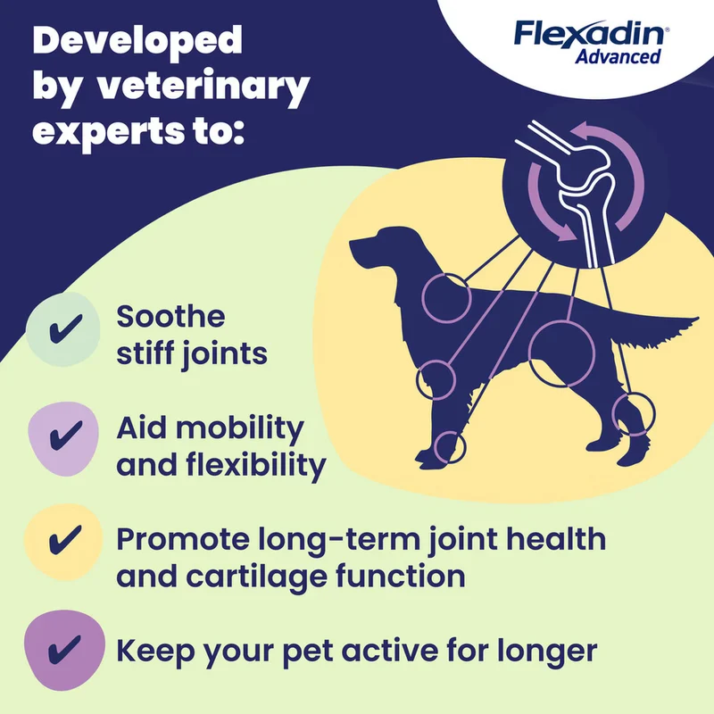 Vetoquinol Flexadin Advanced Joints Soft Chews Supplement For Dogs 30pcs