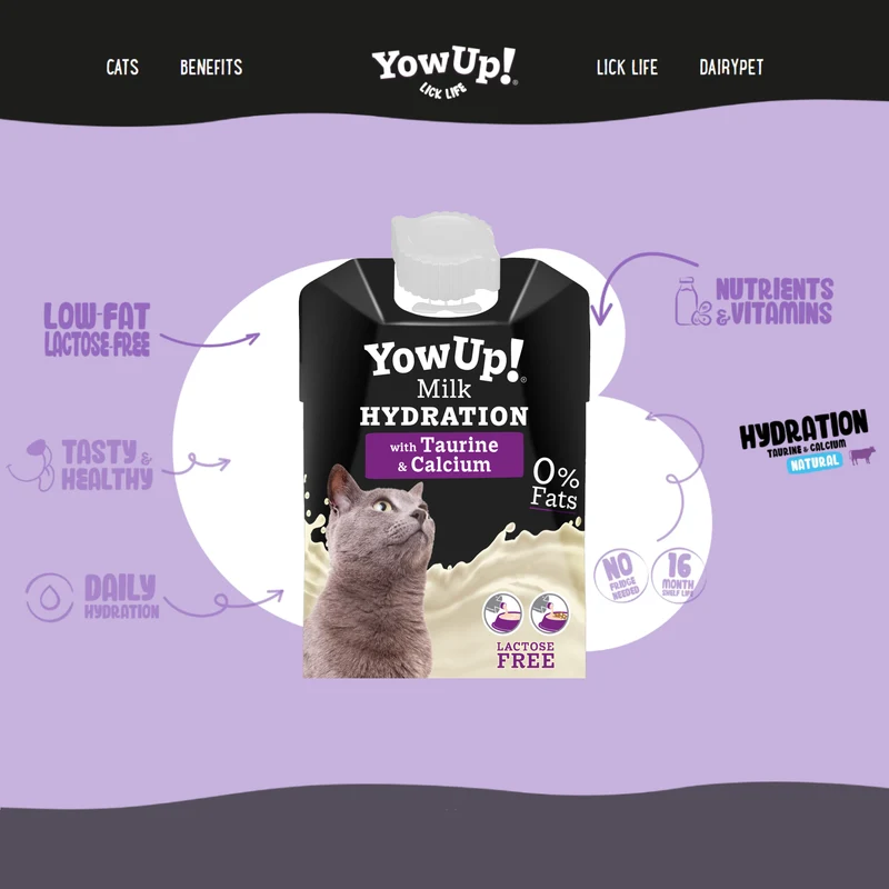 YowUp Milk Hydration Cat Wet Food - 200ML - Pack of 12