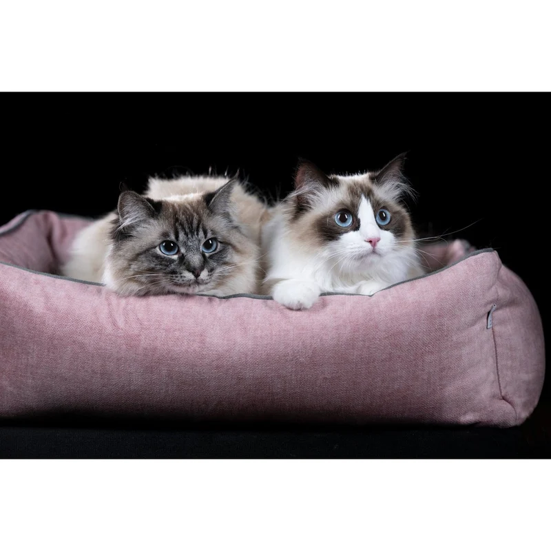 Laboni ORTHO Hunde- und Katzenbett - GLAM ROSE