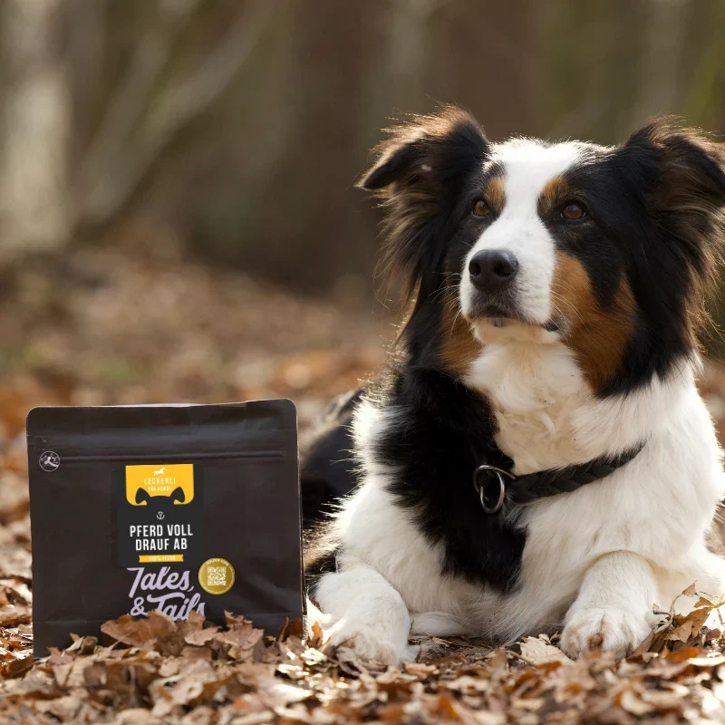 Tales & Tails Pferde Leckerli für Hunde – Monoprotein Snack für Allergiker