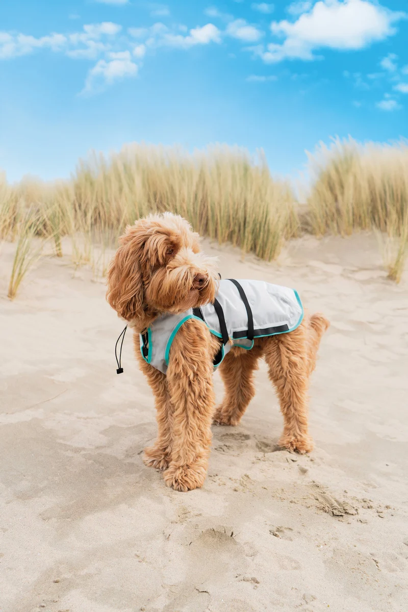 DRY® COOLING VEST HUND