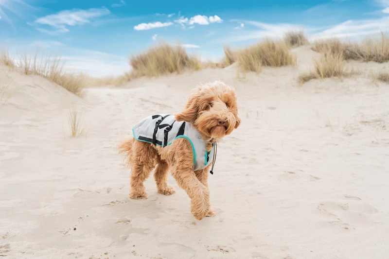 DRY® COOLING VEST HUND