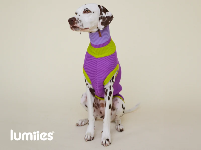 THE GLOW JUMPER von LUMIIES® 1.0 - HOCHELASTISCHER NEON HUNDEPULLOVER