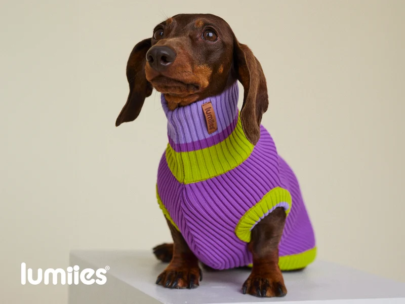 THE GLOW JUMPER von LUMIIES® 1.0 - HOCHELASTISCHER NEON HUNDEPULLOVER