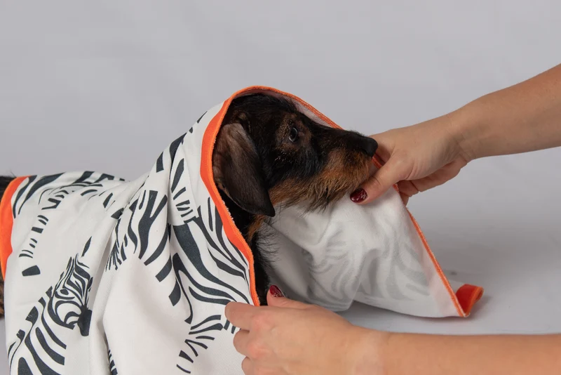 THE QUICKDRY TOWEL von LUMIIES® (SCHNELLTROCKENHANDTUCH)