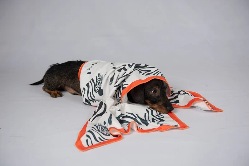 THE QUICKDRY TOWEL von LUMIIES® (SCHNELLTROCKENHANDTUCH)