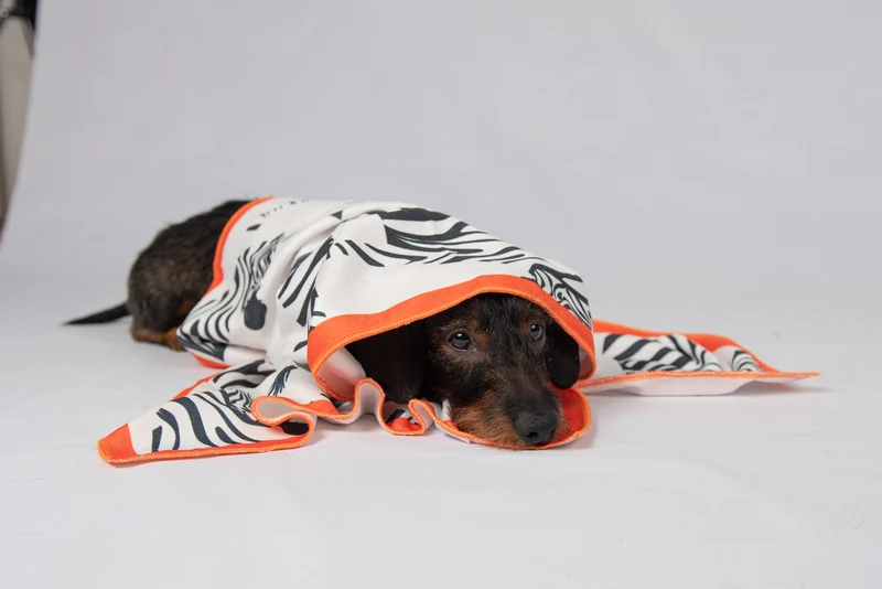 THE QUICKDRY TOWEL von LUMIIES® (SCHNELLTROCKENHANDTUCH)