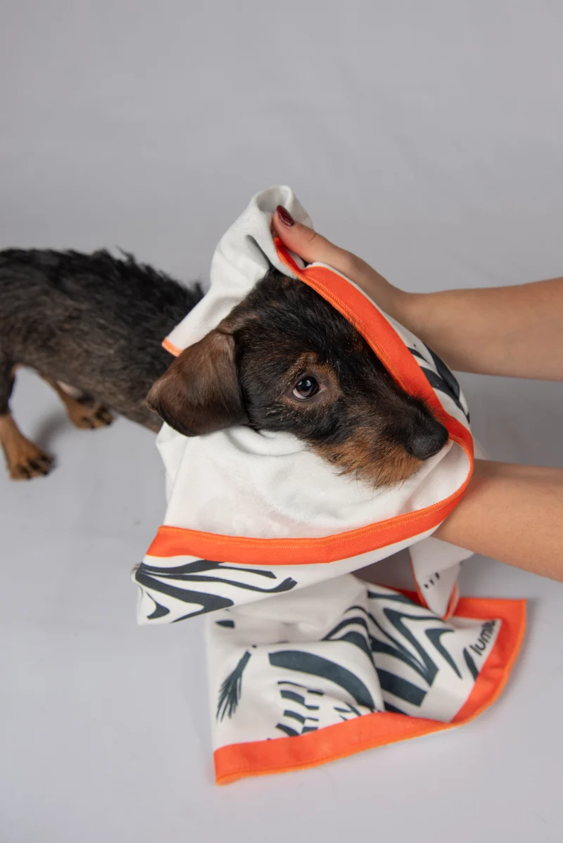 THE QUICKDRY TOWEL von LUMIIES® (SCHNELLTROCKENHANDTUCH)